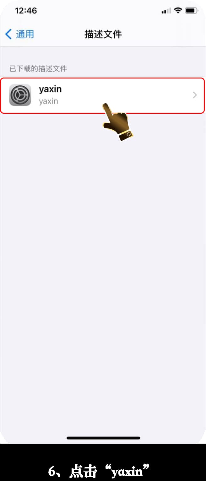 亚星ios应用安装图解6
